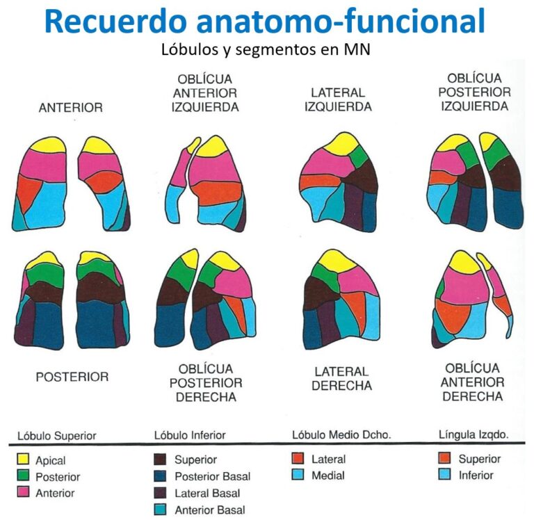 Protocolo De Exploración De Gammagrafía Pulmonar Perfusión – Centro Pet ...